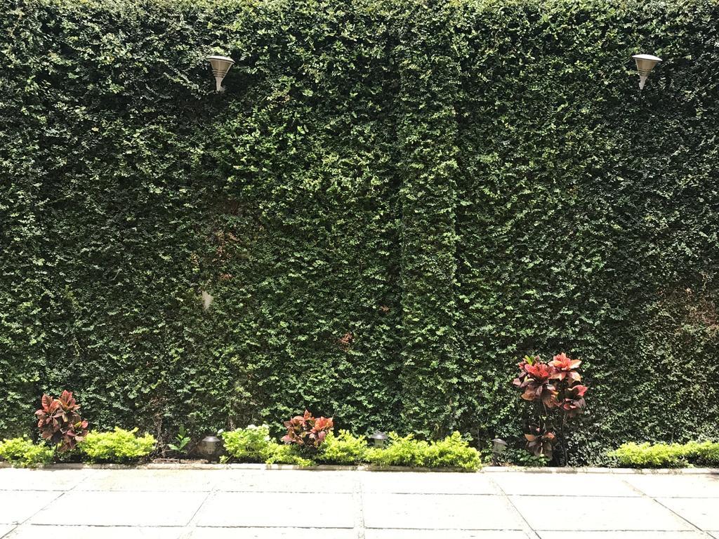Real Avenida Hotel Tuxtla Gutiérrez Exterior photo